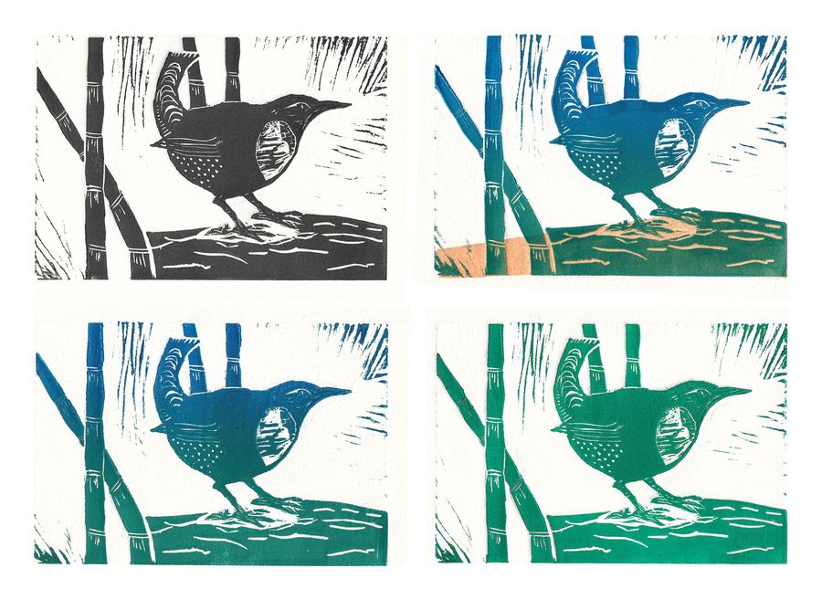 Birds, color print, set of four, by Yaxin Zheng