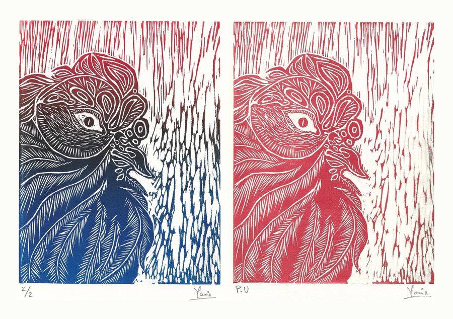 Coq, color print, set of two, by Yaxin Zheng